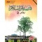 PENDIDIKAN ISLAM KSSM TINGKATAN 2 (ISBN: 9789834916480)